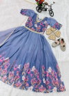 Oc 202 Taby Silk Organza With Digital Print Kids Wear Gown With Dupatta Exporters In India